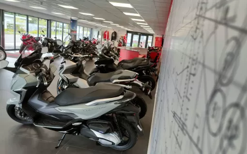 Showroom-B.jpg